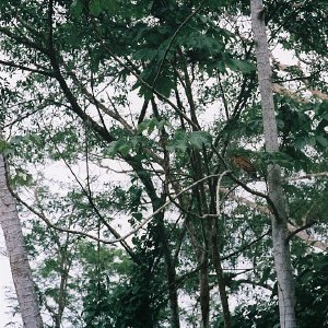 /Albums/10/449951 R1 22 14a 023