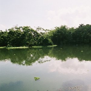 /Albums/11/107574 R1 16 17