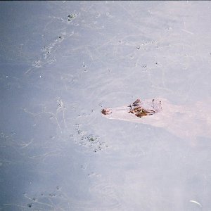 /Albums/11/43579 R1 29 3a