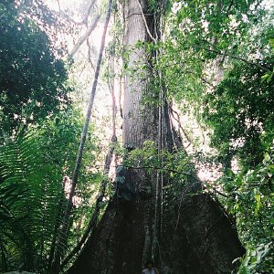 /Albums/14/107842 R1 29 1a