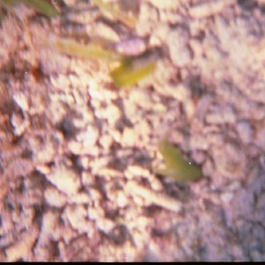 /Albums/15/Pr00001063839