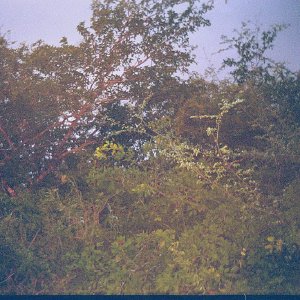/Albums/16/Pr00001063907