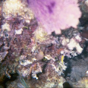 /Albums/16/Pr00001063931
