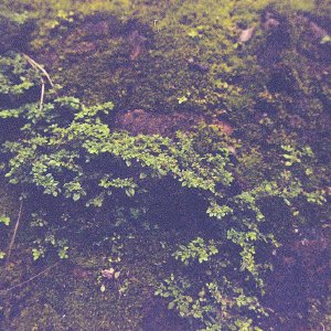 /Albums/17/Pr00001063888