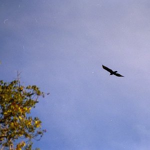 /Albums/18/Pr03921052233