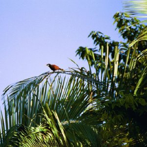 /Albums/18/Pr03921052245
