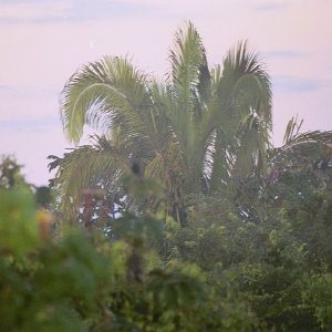 /Albums/19/Pr03921052296
