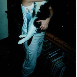 /Albums/4/Haley and Mitten