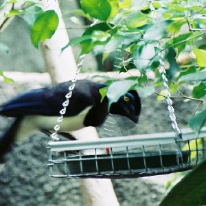 /Albums/9/993433 R4 03 4
